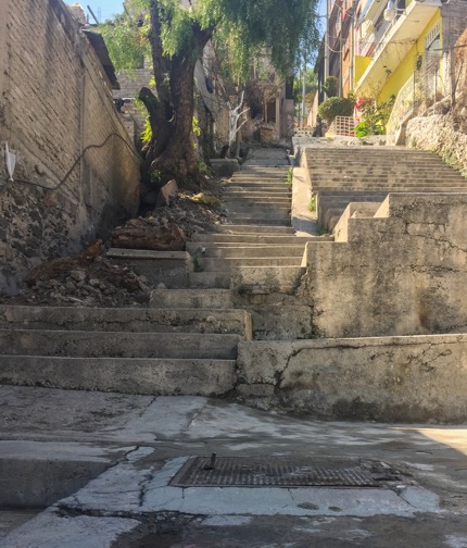 This staircase is indicative of the steep landscape of this neighborhood.